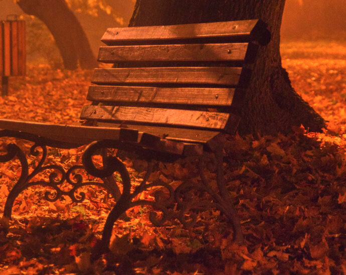 Wood and cast iron park benches sit amongst trees, on the golden, leaf-covered grass of a city park.