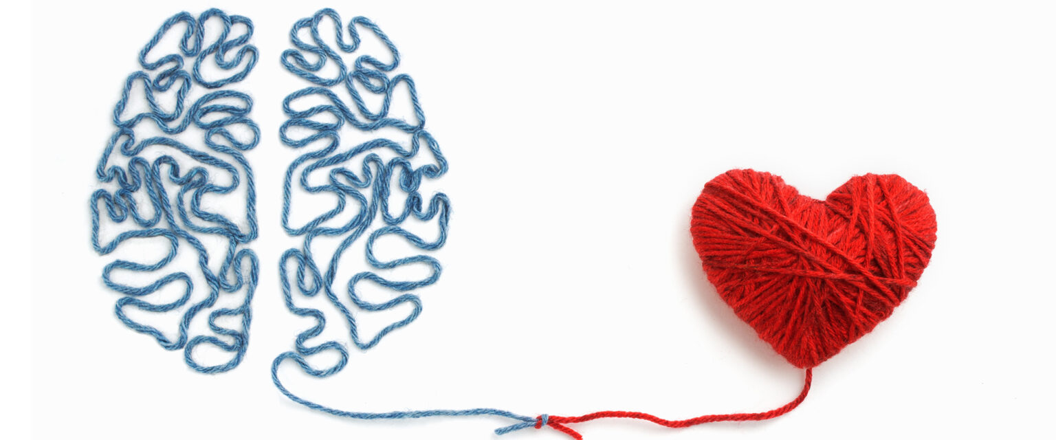 A blue-gray brain and a red heart, both made of yarn, are connected by a knot between them—an image on a white background representing the connection between the heart and mind.