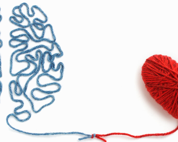 A blue-gray brain and a red heart, both made of yarn, are connected by a knot between them—an image on a white background representing the connection between the heart and mind.