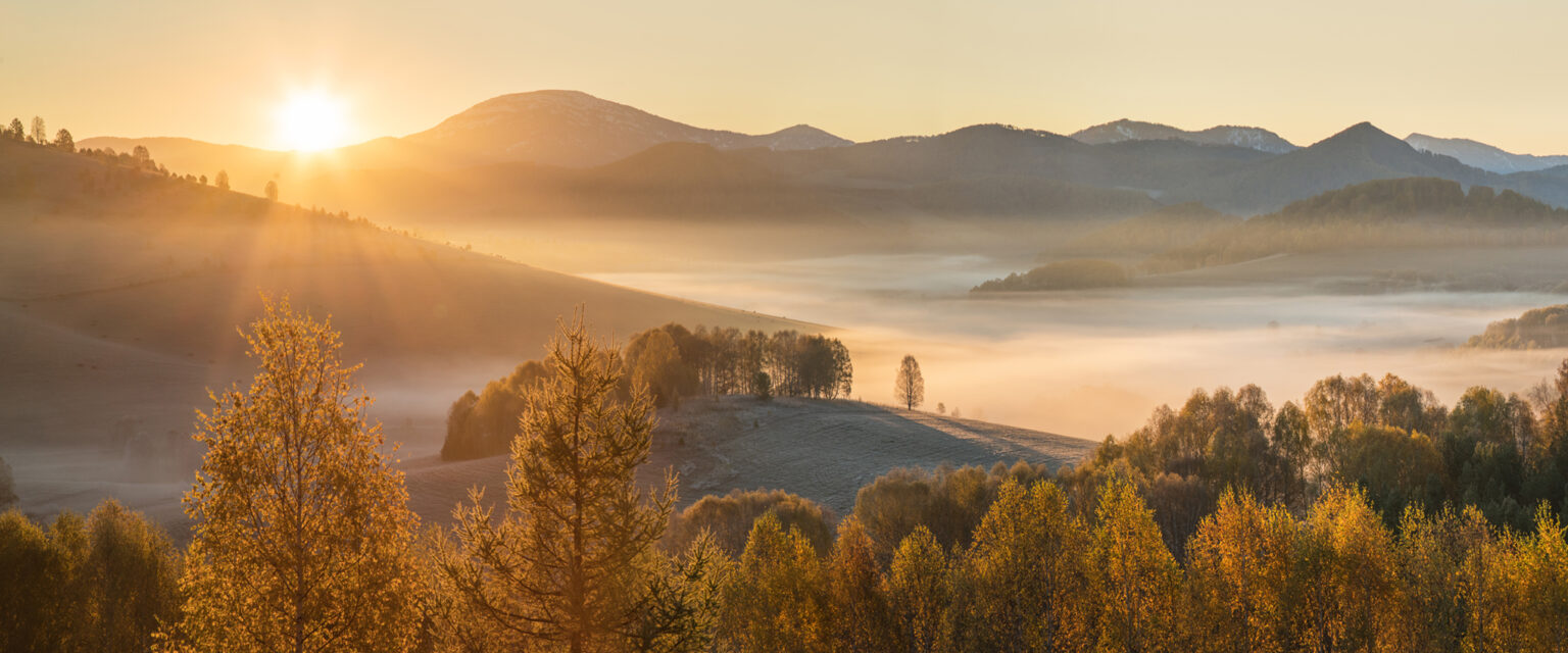 The picturesque autumn view of a beautiful golden sunrise. A dense fog covers a mountain valley with gold-colored trees lining the foreground.
