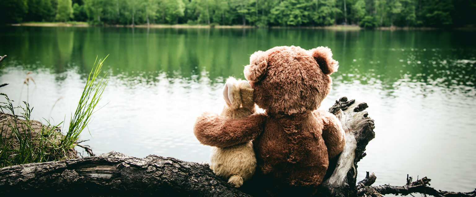 Two friends, a ivory-colored, stuffed bunny and brown teddy bear, sit on the shore beside the still waters of a forest lake, dreaming and remembering. Viewed from behind, the bear has his left arm lovingly wrapped around his friend's shoulders.