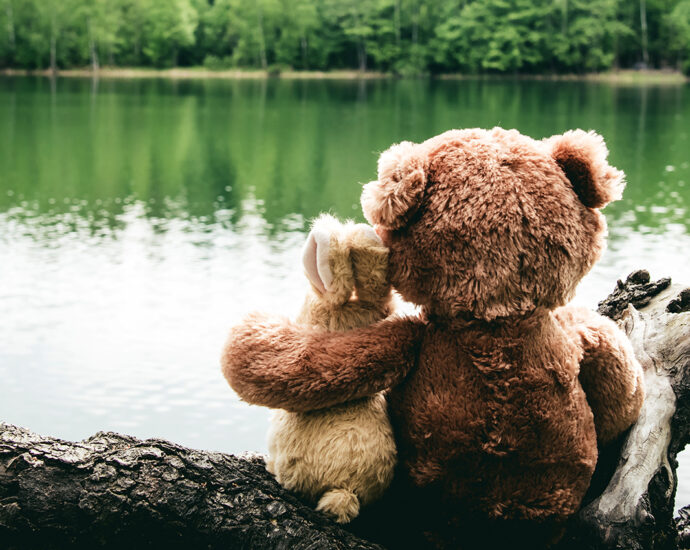 Two friends, a ivory-colored, stuffed bunny and brown teddy bear, sit on the shore beside the still waters of a forest lake, dreaming and remembering. Viewed from behind, the bear has his left arm lovingly wrapped around his friend's shoulders.