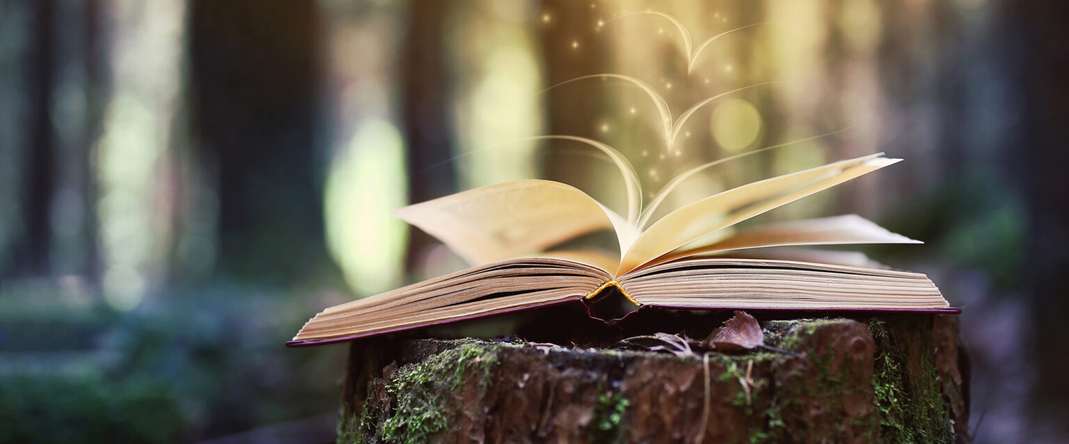 A book lies open on a moss-covered stump in a forest. From its pages appear three sparkling, bird-like apparitions of pages flying away into the daylight.
