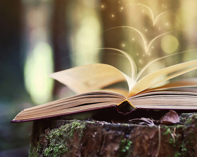 A book lies open on a moss-covered stump in a forest. From its pages appear three sparkling, bird-like apparitions of pages flying away into the daylight.