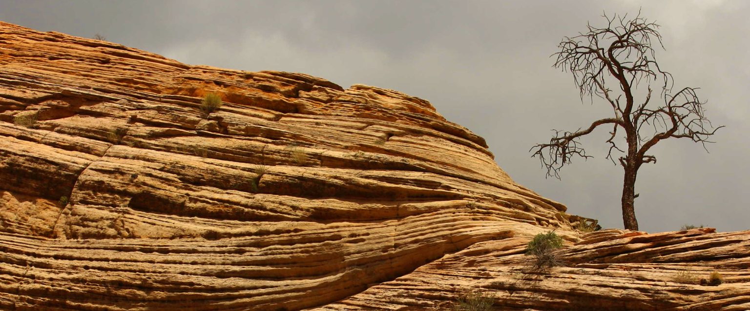 An old tree, devoid of leaves, sits atop a layered red sandstone cliff. Above it, a darkened, cloud-filled sky creates an ominous backdrop.