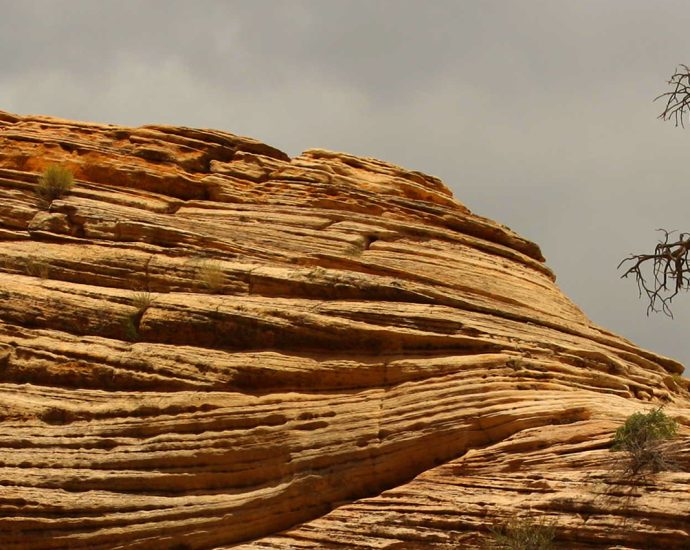 An old tree, devoid of leaves, sits atop a layered red sandstone cliff. Above it, a darkened, cloud-filled sky creates an ominous backdrop.