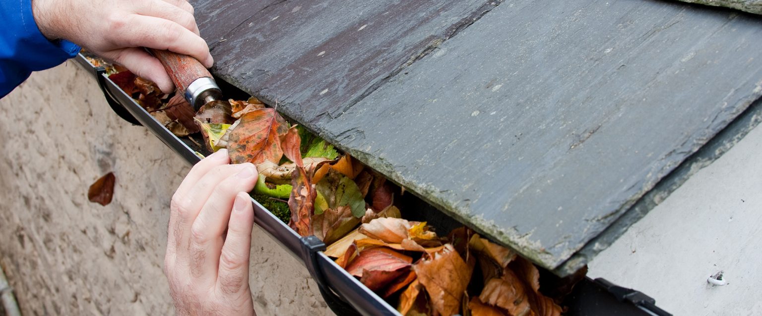 Workman Clearing Autumn Leaves from Gutter