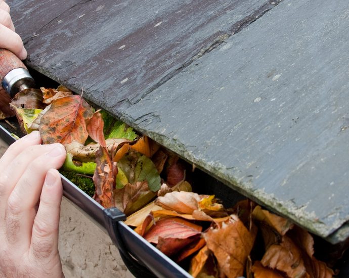 Workman Clearing Autumn Leaves from Gutter
