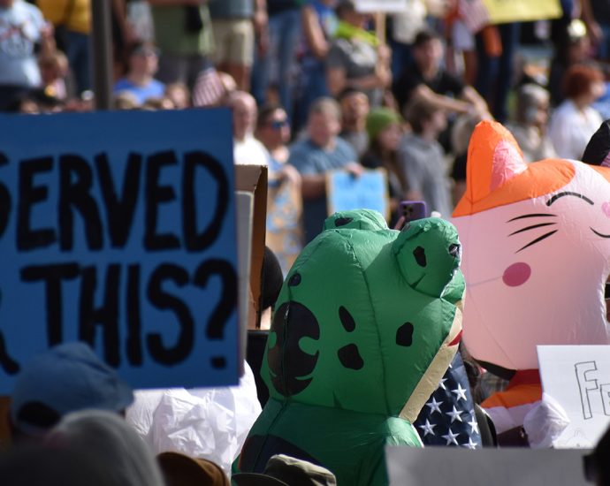 Des Moines, IA, USA - 10-18-2025: No Kings Protest community crowd