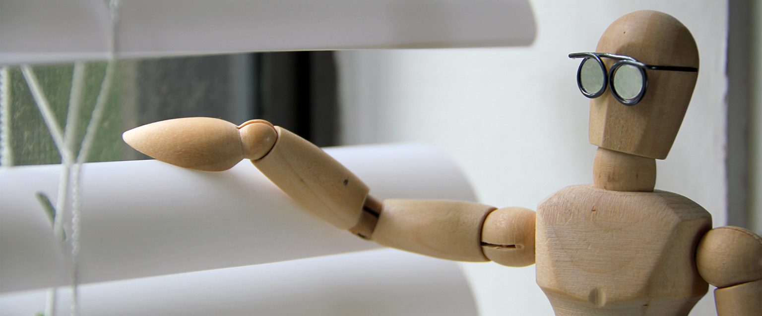 Looking through blinds